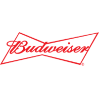 Budweiser Paradoxx, Discoteca Móvil, Servicio para Eventos, Guatemala, Música, Dj, Bodas, XV Años, 15 Años